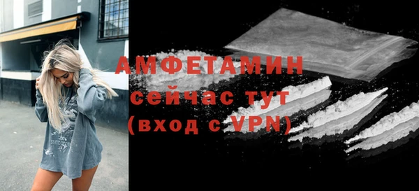 твердый Мегион