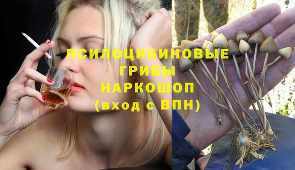 героин Михайлов