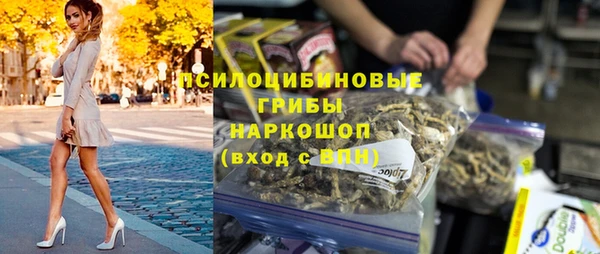 твердый Михайловск