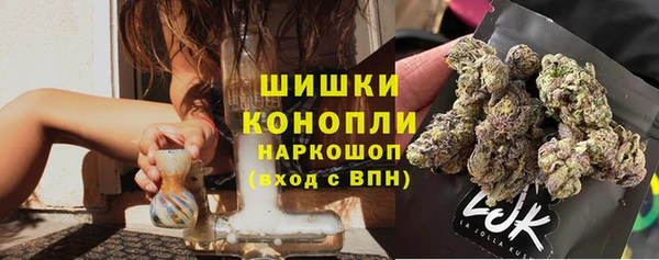 ГАЛЛЮЦИНОГЕННЫЕ ГРИБЫ Медвежьегорск