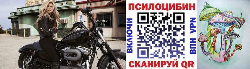 цены наркотик  Чердынь  Псилоцибиновые грибы мицелий 